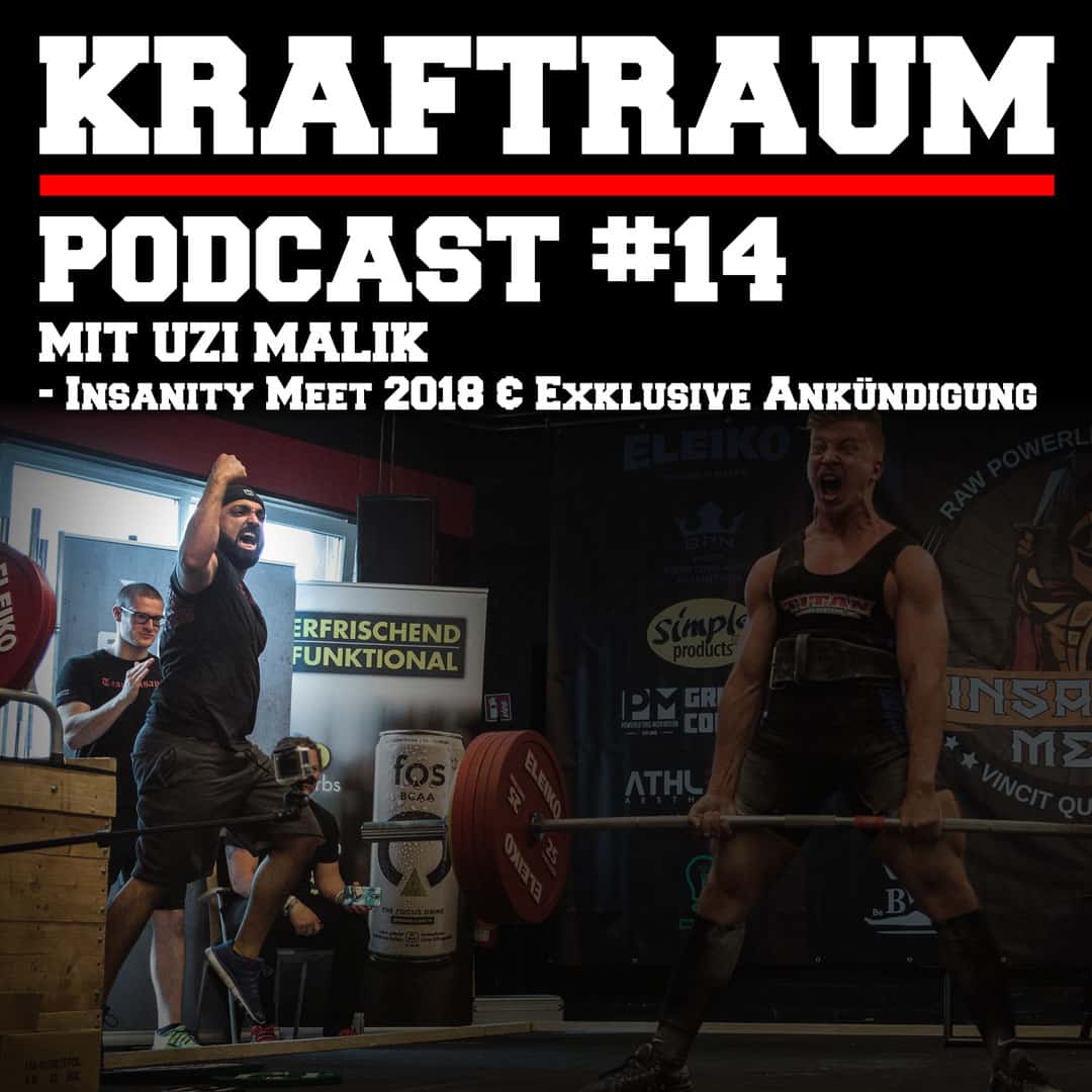 cover of episode Insanity Meet 2018 & exklusive Ankündigung mit Uzi Malik von Team Insanity (#14)